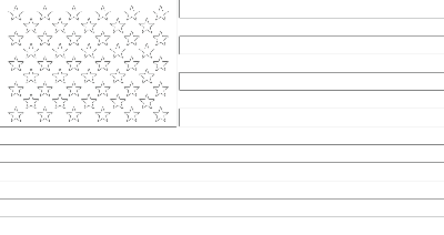 USA Black and white flag with star pattern